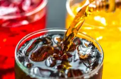 Thebrainandgutrecoveryllc